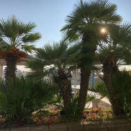 Hotel Donatella Pinarella 3*